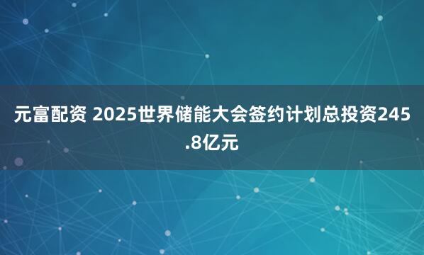 元富配资 2025世界储能大会签约计划总投资245.8亿元