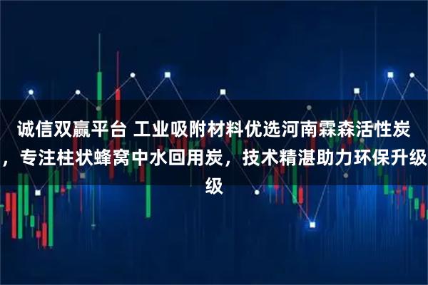 诚信双赢平台 工业吸附材料优选河南霖森活性炭，专注柱状蜂窝中水回用炭，技术精湛助力环保升级