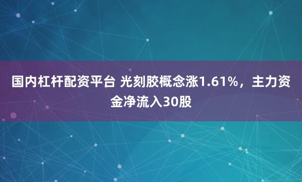 国内杠杆配资平台 光刻胶概念涨1.61%，主力资金净流入30股